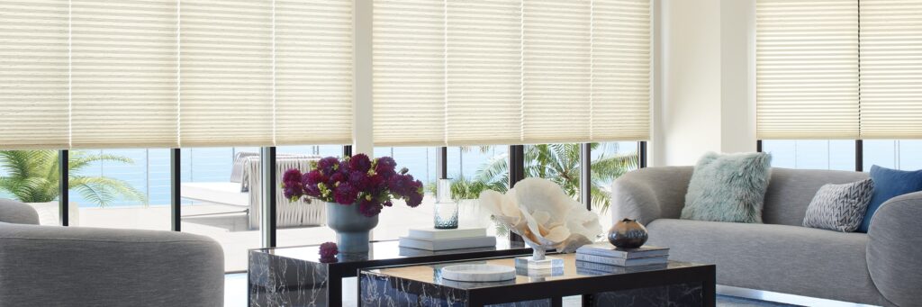 Hunter Douglas Duette honeycomb shades 